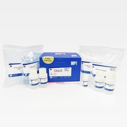 MP Biomedicals™ SPINeasy™ DNA Purification Kit